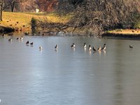 Bassano 2024 III - 5